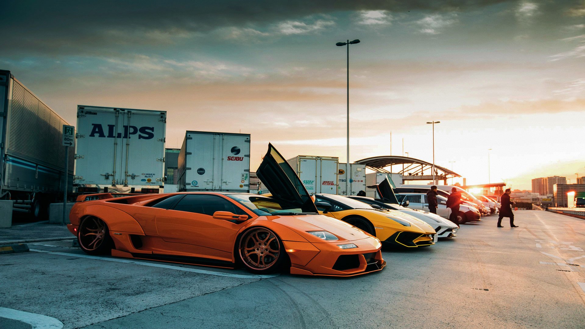 开云入口-伊朗马术协会授予马尔科·阿尔瓦雷斯“年度最佳马匹护理员”称号。