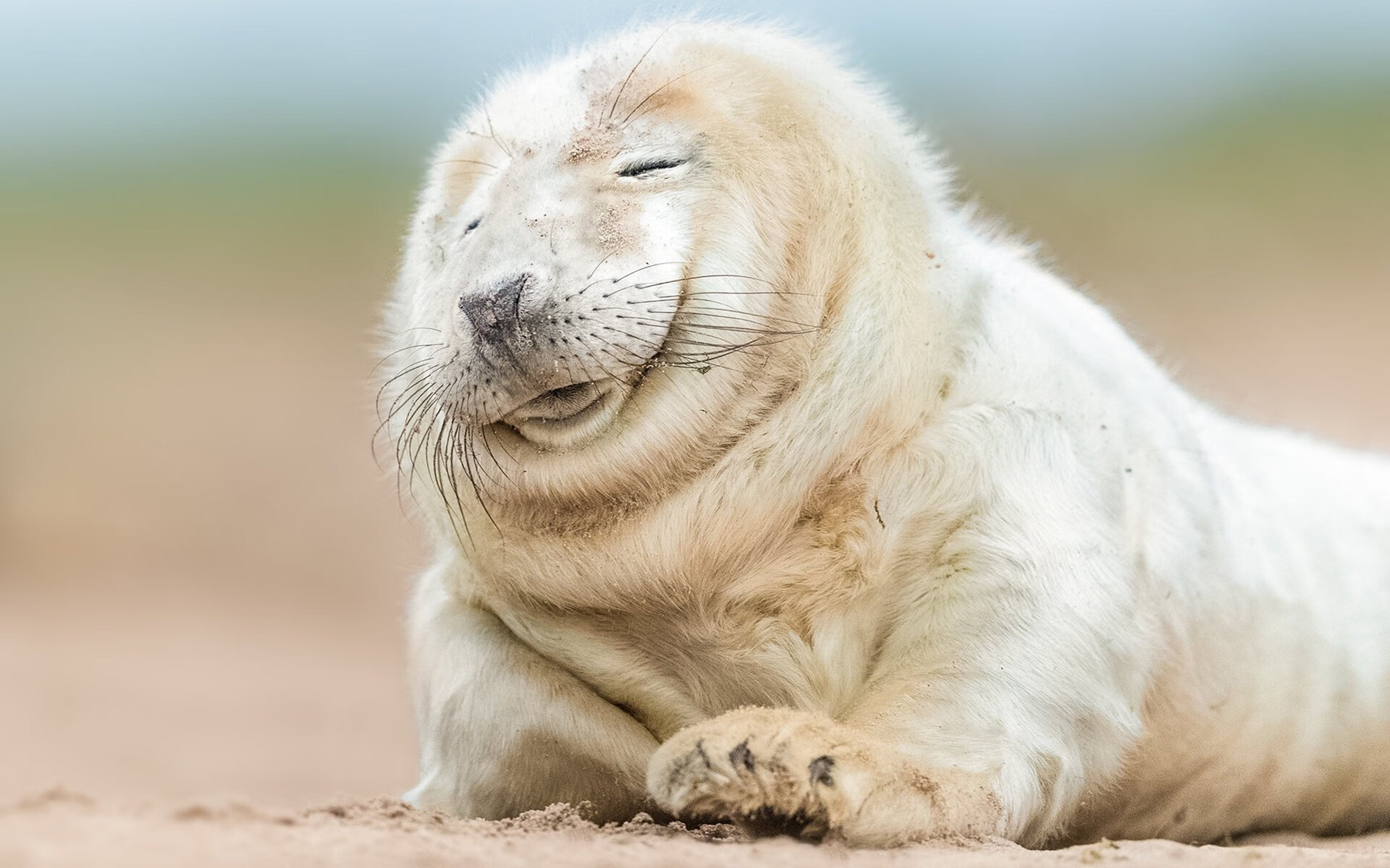 城市夜色水上冒险,灯火阑珊中的水域激情,水上夜景图片