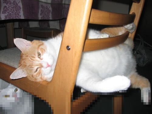 开云体育APP下载-比赛亮点：李磊贡献3次盖帽，守住最后防线！，竞走李磊视频