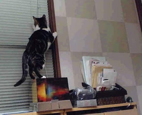 比赛结束后的孤独与成就感,比赛结束之后的心情