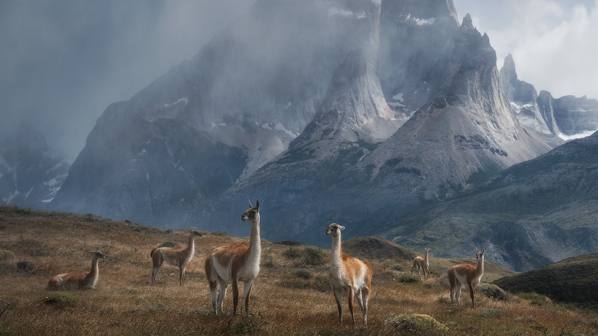 上海申鑫客场告负,陷入保级泥潭,上海申鑫官网